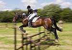 Wanborough Horse and Dog show